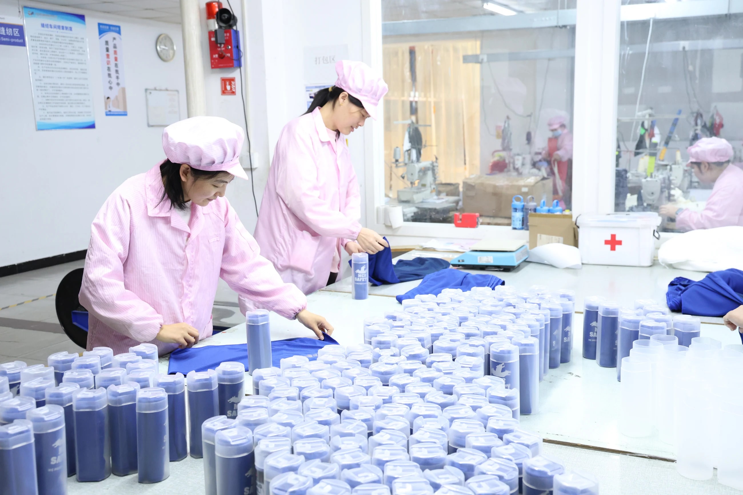 Packing and labeling inspection